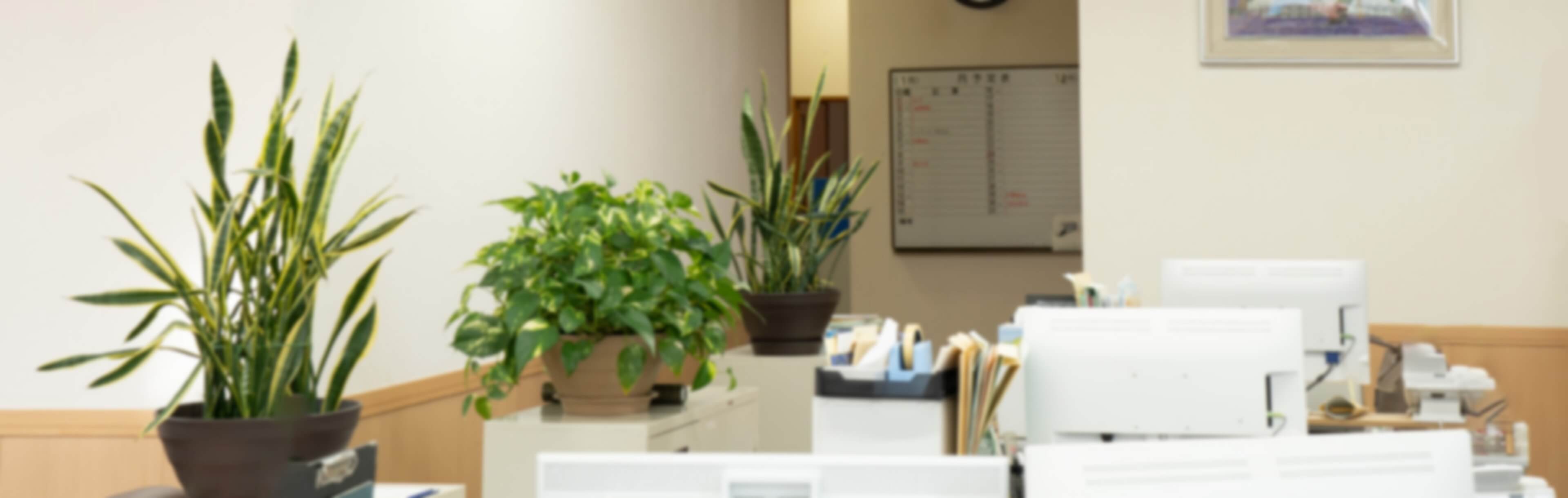 会社概要 森本組